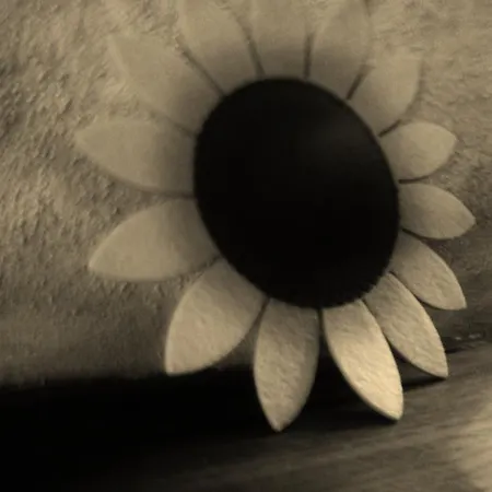 בית הארחה Affittacamere Girasole Buonabitacolo